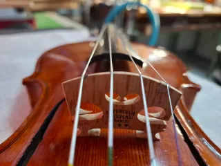 Violín 4/4