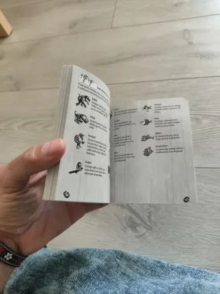 Donkey Kong Country 3 GBA + Manual