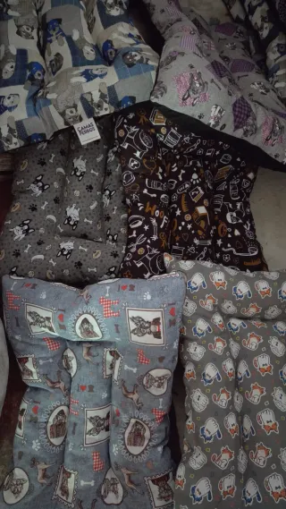 3 Lettini per cani con design divertenti