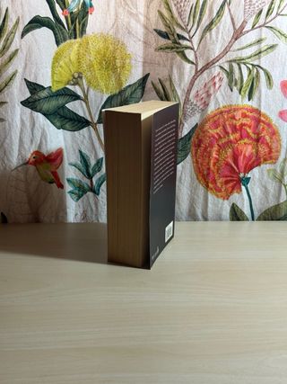 Rabino, El (Spanish Edition)