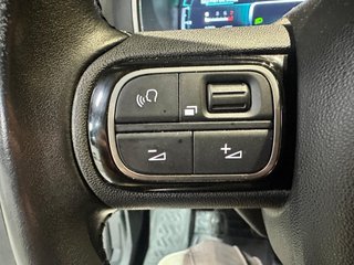 Citroën C5 Aircross BlueHdi 96kW (130CV) S&S Feel