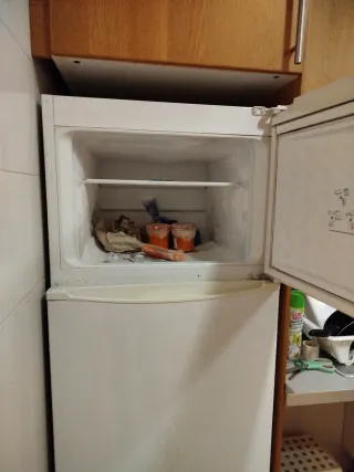 Nevera y congelador BLUESKY