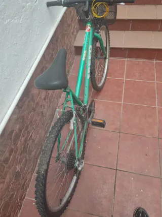 Bicicleta verde con cesta