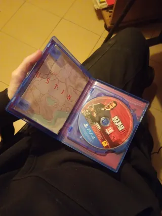 Red Dead Redemption 2 PS4