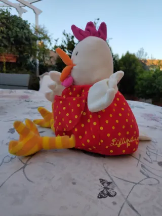 Gallina Ofelia Lilliputiens