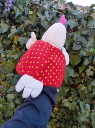 Gallina Ofelia Lilliputiens