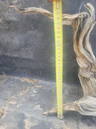 Tronco Tanuki para Bonsái/Terrario