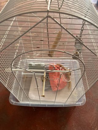 Jaula para agaporni/loro
