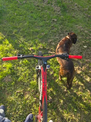 Orbea Alma Carbono 27.5