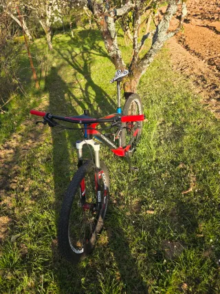 Orbea Alma Carbono 27.5