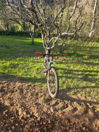 Orbea Alma Carbono 27.5