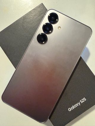 Samsung Galaxy S25