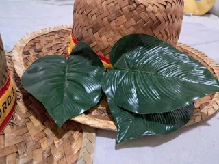 Pack 3 Sombreros Paja Marqués de la Concordia