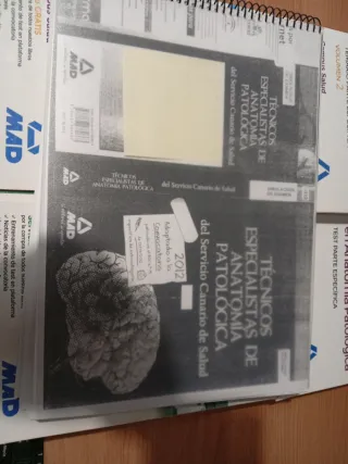 TEMARIO SMS TÉCNICO EN ANATOMÍA PATOLÓGICA