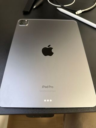 iPad Pro 11 4ª Gen 2022 256GB Grigio