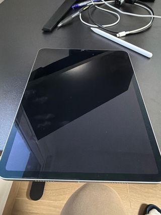 iPad Pro 11 4ª Gen 2022 256GB Grigio