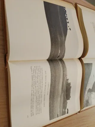 Edición de lujo del Quijote (Alfaguara), 2 tomos