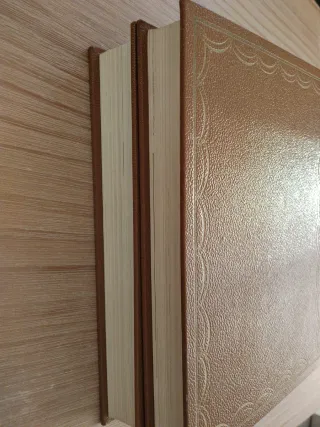 Edición de lujo del Quijote (Alfaguara), 2 tomos