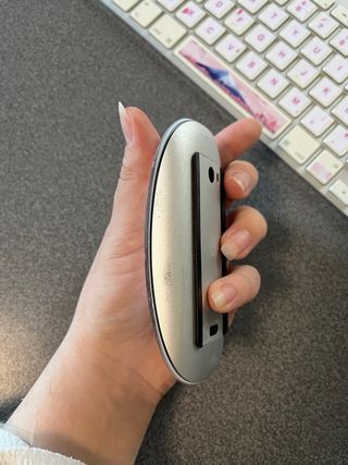 Teclado y Ratón Apple