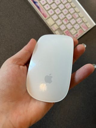 Teclado y Ratón Apple