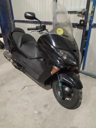 Quilla Honda Forza 250 (05-08)