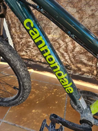 Bicicleta Cannondale Infantil Montaña