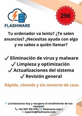 Técnico informático