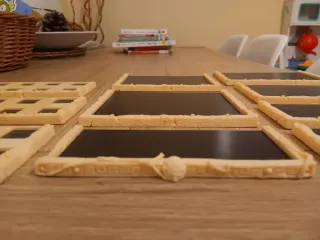 Lote Bandejas Movimiento Imantadas