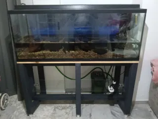 Pecera 450L con mueble y filtro