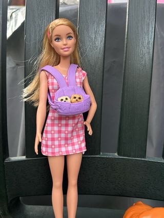 Barbie y sus cachorros con accesorios