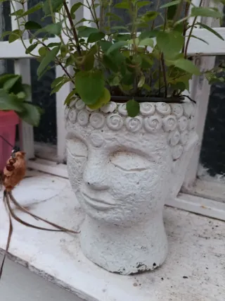 Macetero Buda Blanco Piedra