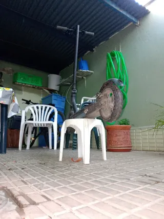 Patinete Xiaomi 1S - Centralita Rota por  todo bie