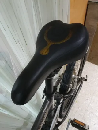 Bicicleta Paseo 29