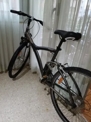 Bicicleta Paseo 29