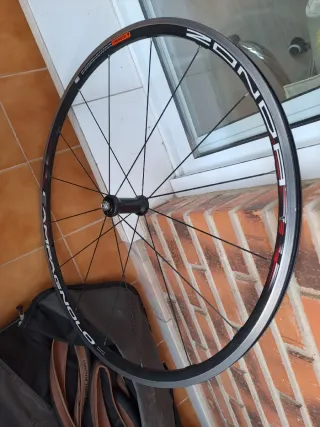 Llantas Campagnolo Zonda C15