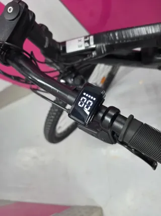 Bicicleta Eléctrica RockRaider PL500 29 Talla L