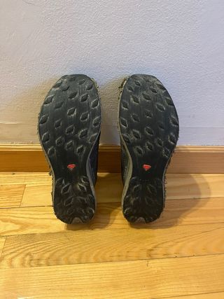 Salomon S/LAB Pulsar SG Trail Running Shoes