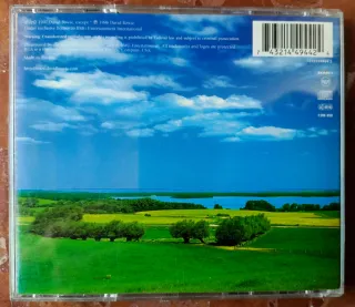 DAVID BOWIE - Eart hl i ng. Cd