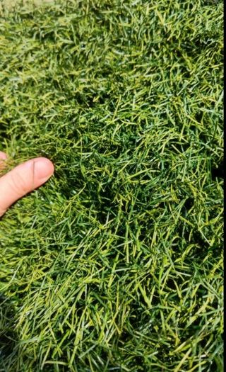 Césped artificial reciclado