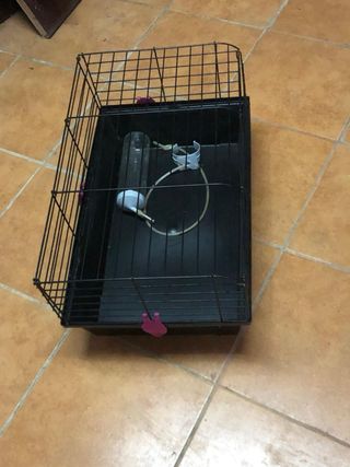3 jaulas para Cobaya/Jaster, Chinchillas ...