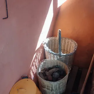 Cestas de mimbre varias
