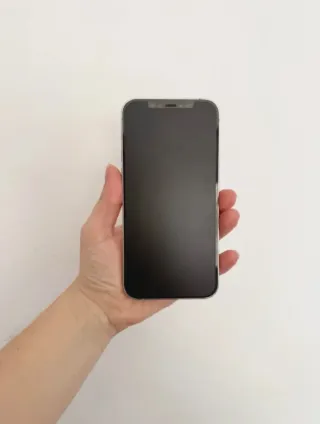 iPhone 12 Pro 256GB Blanco