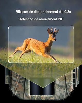 Cámara Fototrampeo WOLFANG HD