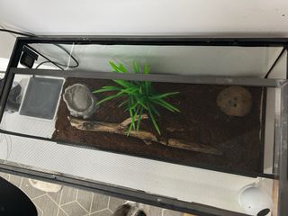 Terrario de cristal para reptiles