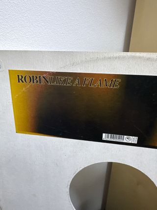 Robin - Like a flame (( alejandro ))