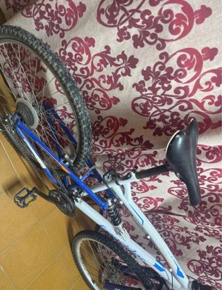 Bicicleta de montaña para adultos