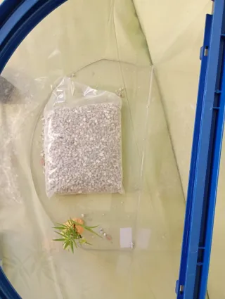 Acuario Atlantis C42/H42 Azul