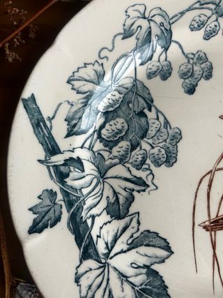 Plato llano Terre de Fer azul y marrón