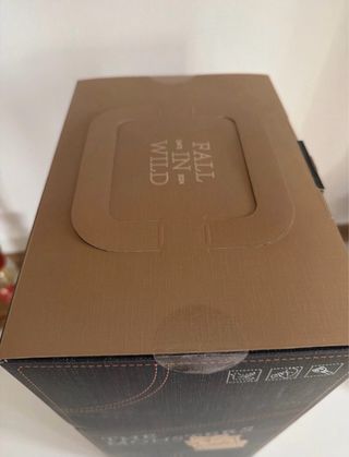 Labubu Fall in Wild Pop Mart