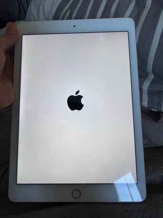 iPad Air 2 Plata/Blanco